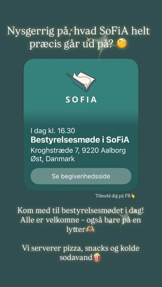 Bestyrelsesmøde i SoFiA