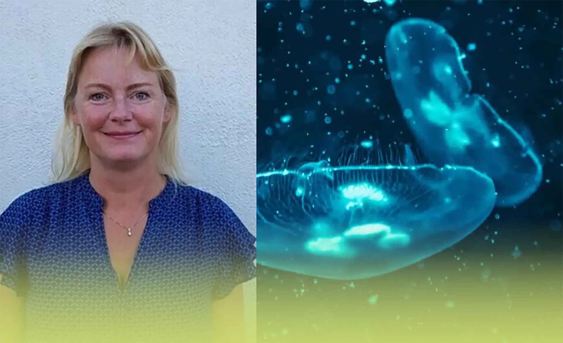 Gopler og Bobler - havet som spisekammer