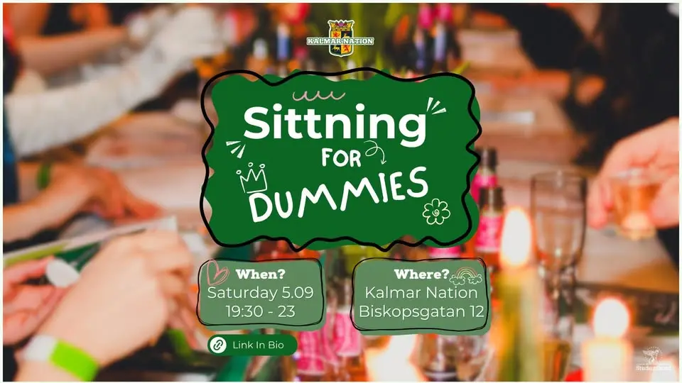 Sittning For Dummies!