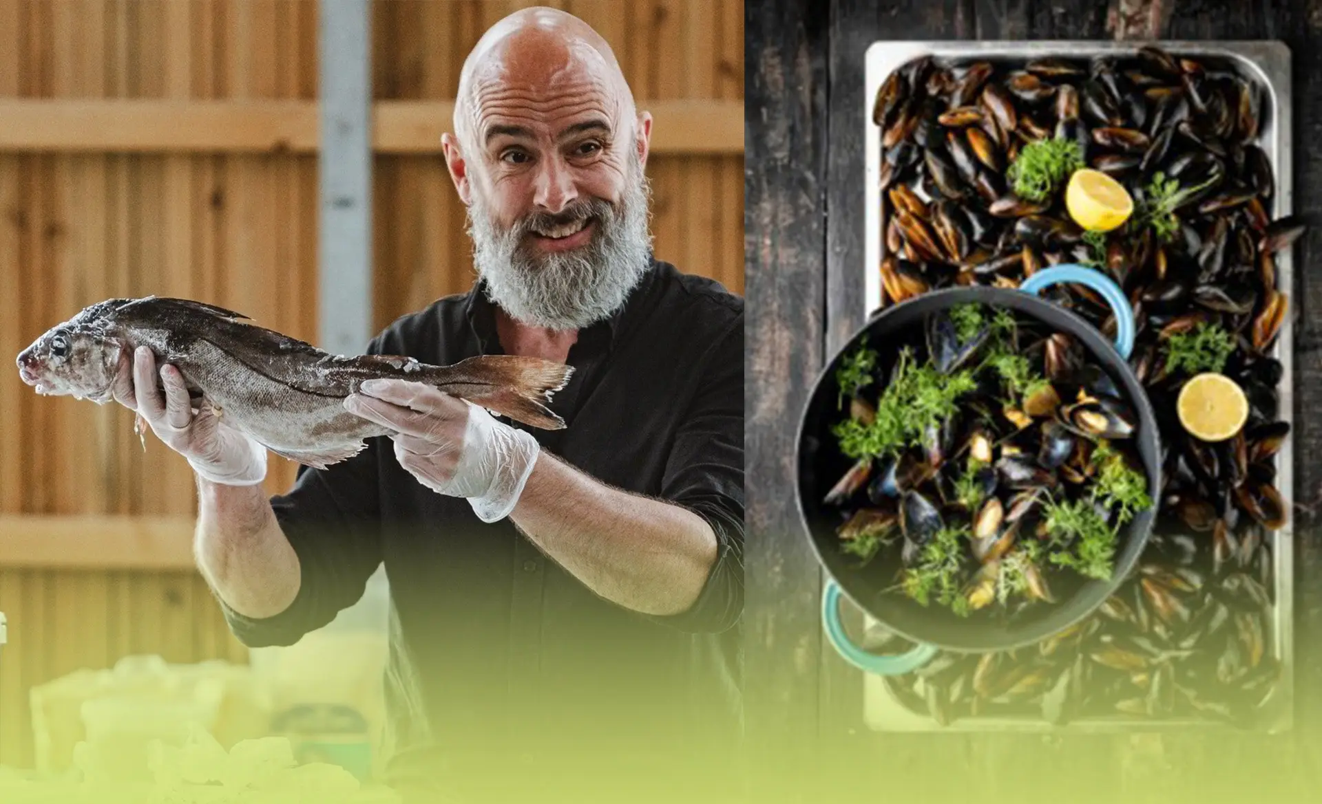 Havets spisekammer med MadMikkel – smagsprøver på blåmuslinger, tang og biodiversitet  (1)