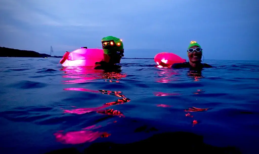 Aarhus Havsvøming