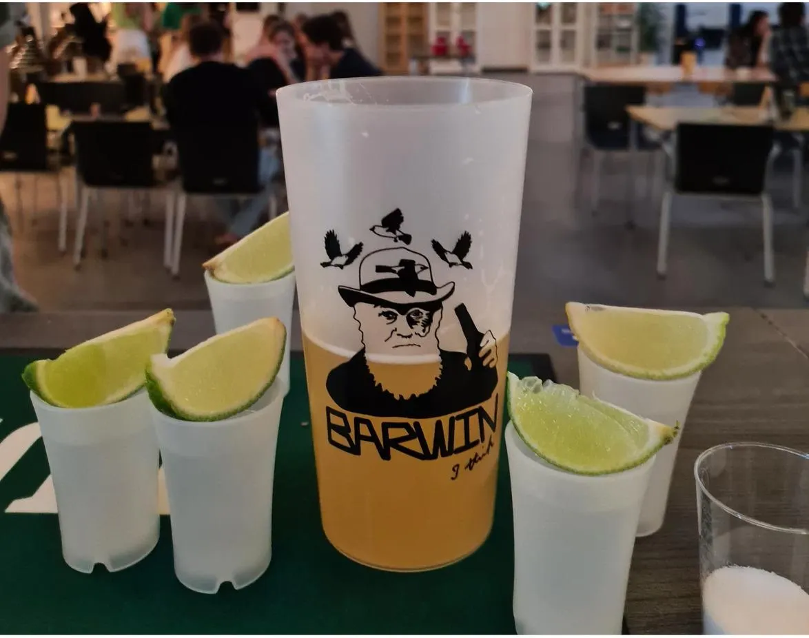 Fredagsbaren Barwin
